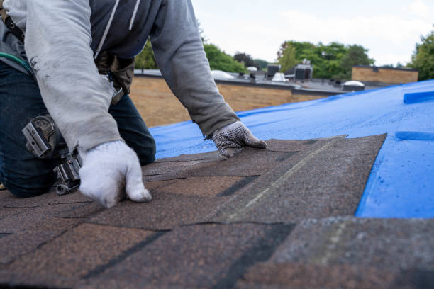 Best Roof Waterproofing Services  in Sutherlin, OR