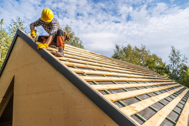 Roof Gutter Cleaning in Sutherlin, OR